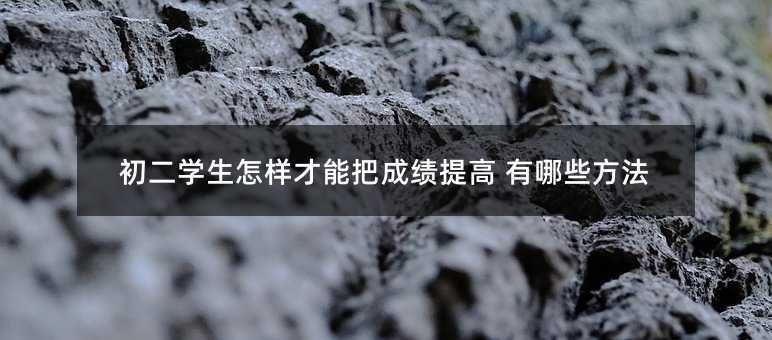 初二學(xué)生怎樣才能把成績(jī)提高 有哪些方法