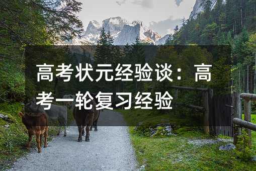 高考狀元經(jīng)驗(yàn)談:高考一輪復(fù)習(xí)經(jīng)驗(yàn)
