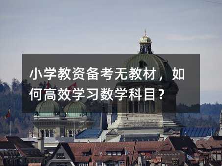 小學教資備考無教材,如何高效學習數學科目?