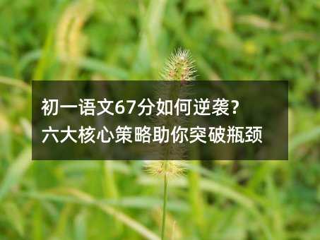 初一語文67分如何逆襲?六大核心策略助你突破瓶頸