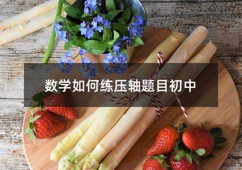 數學如何練壓軸題目初中