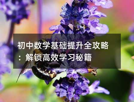 初中數學基礎提升全攻略:解鎖高效學習秘籍