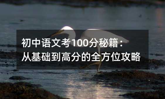 初中語文考100分秘籍:從基礎到高分的全方位攻略