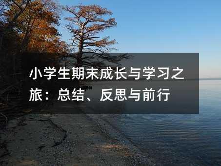 小學生期末成長與學習之旅:總結、反思與前行