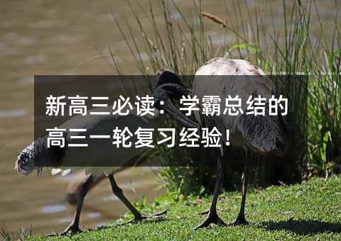 新高三必讀:學霸總結的高三一輪復習經驗!