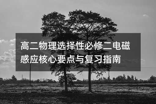 高二物理選擇性必修二電磁感應核心要點與復習指南