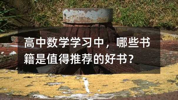 高中數學學習中,哪些書籍是值得推薦的好書?