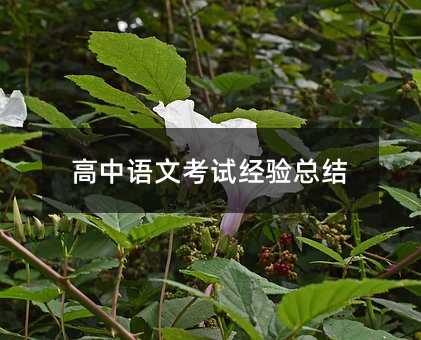 高中語文考試經驗總結
