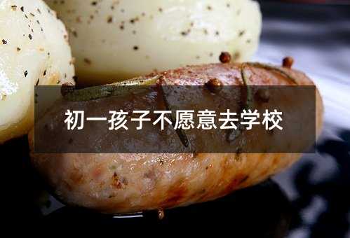 初一孩子不愿意去學校
