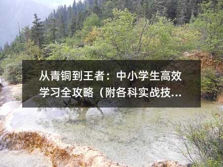 從青銅到王者:中小學生高效學習全攻略(附各科實戰技巧)