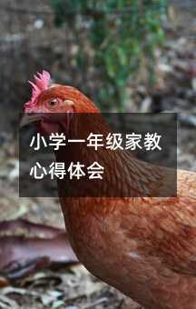 СWһ꼉ҽĵw