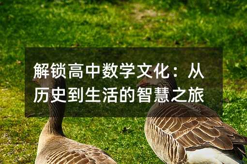 解鎖高中數學文化:從歷史到生活的智慧之旅
