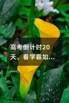 高考倒計時20天,看學霸如何部署最后一戰!