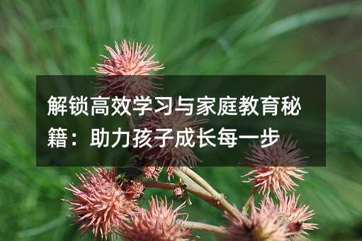 解鎖高效學(xué)習(xí)與家庭教育秘籍:助力孩子成長(zhǎng)每一步