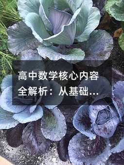 高中數學核心內容全解析:從基礎到進階的學習指南