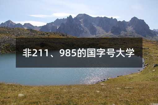 非211、985的國字號大學