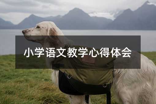 小學語文教學心得體會