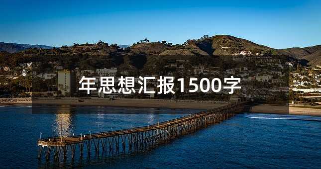 年思想匯報1500字