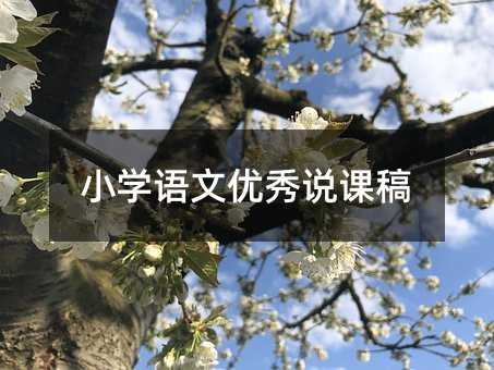 小學(xué)語文優(yōu)秀說課稿