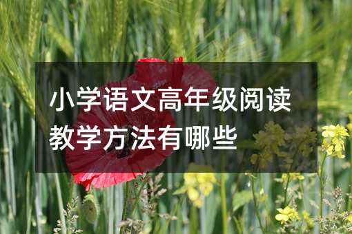 小學語文高年級閱讀教學方法有哪些