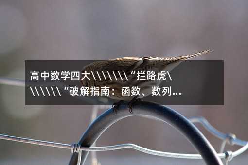 高中數(shù)學(xué)四大\\\\\\\“攔路虎\\\\\\\“破解指南:函數(shù)、數(shù)列、解析幾何、導(dǎo)數(shù)全攻略