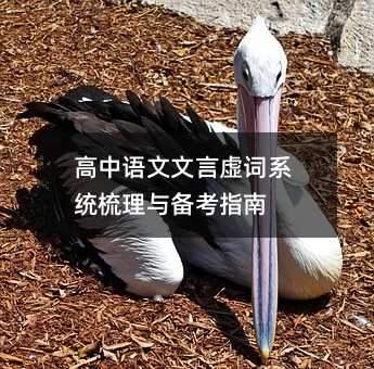 高中語文文言虛詞系統梳理與備考指南