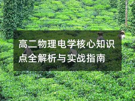 高二物理電學核心知識點全解析與實戰指南