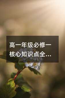 高一年級必修一核心知識點全解析——語數英化物學習秘籍