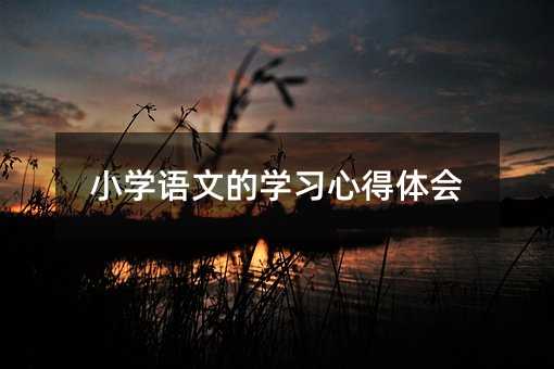 小學(xué)語文的學(xué)習(xí)心得體會