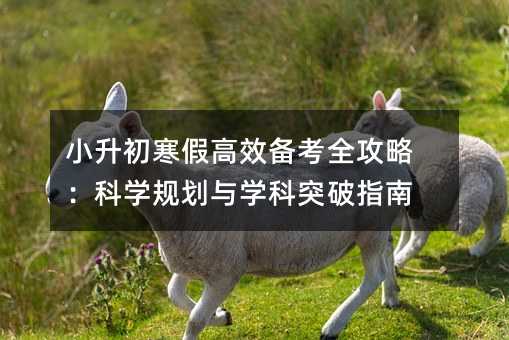 小升初寒假高效備考全攻略:科學規(guī)劃與學科突破指南