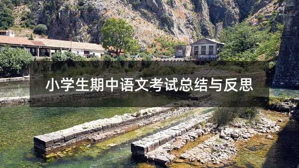 小學(xué)生期中語文考試總結(jié)與反思