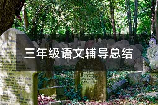 三年級(jí)語(yǔ)文輔導(dǎo)總結(jié)