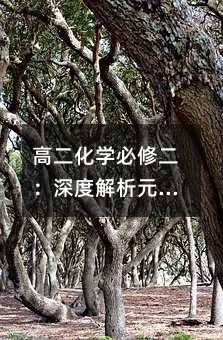 高二化學必修二:深度解析元素周期表與元素性質