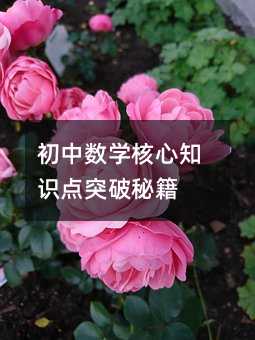 初中數學核心知識點突破秘籍