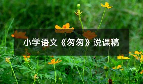 小學語文《匆匆》說課稿