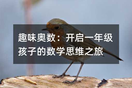 趣味奧數:開啟一年級孩子的數學思維之旅