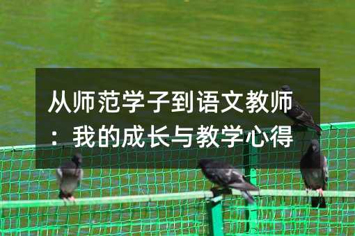 從師范學子到語文教師:我的成長與教學心得