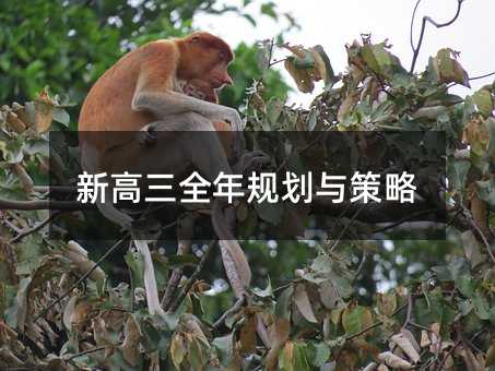 新高三全年規劃與策略