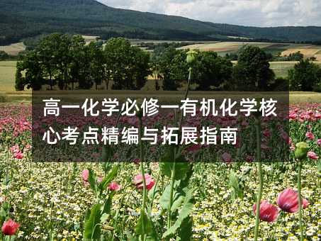 高一化學必修一有機化學核心考點精編與拓展指南