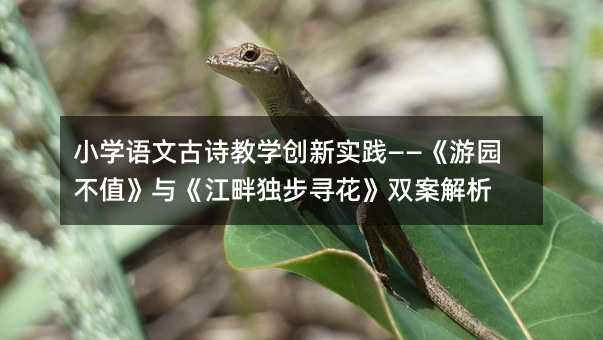 С�W�Z�Ĺ�Ԋ�̌W�����`�������Έ@��ֵ���c�����Ϫ����������p������