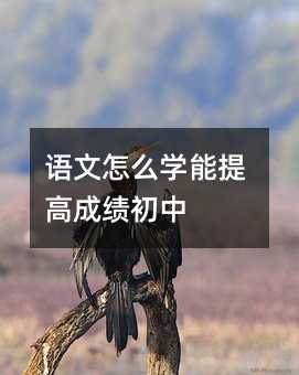 語文怎么學(xué)能提高成績初中