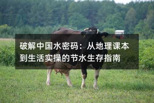 破解中國水密碼:從地理課本到生活實操的節水生存指南