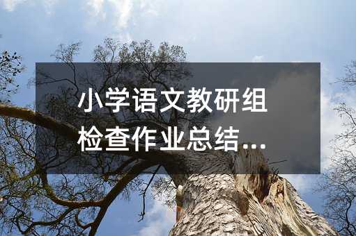 小學語文教研組檢查作業(yè)總結(jié)范文