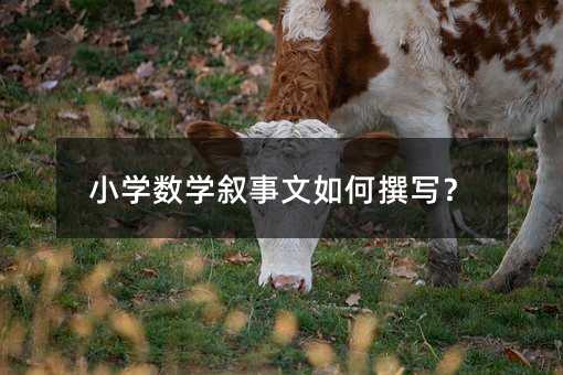 小學數學敘事文如何撰寫?