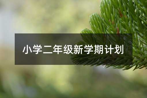 小學二年級新學期計劃