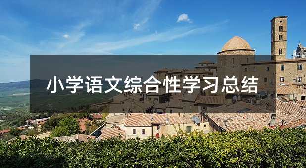 小學語文綜合性學習總結