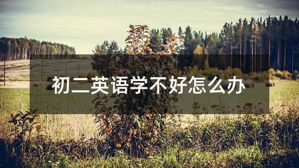 初二英語學(xué)不好怎么辦