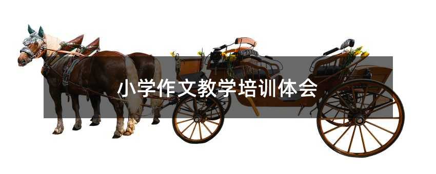 小學作文教學培訓體會