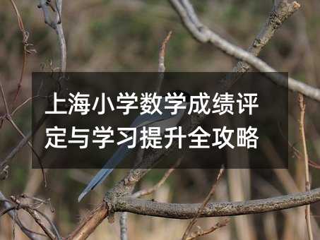 上海小學(xué)數(shù)學(xué)成績?cè)u(píng)定與學(xué)習(xí)提升全攻略
