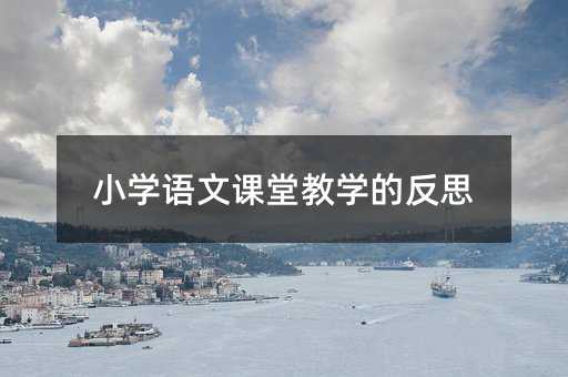 小學語文課堂教學的反思